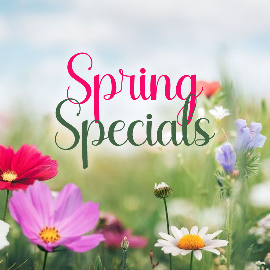 Spring Specials